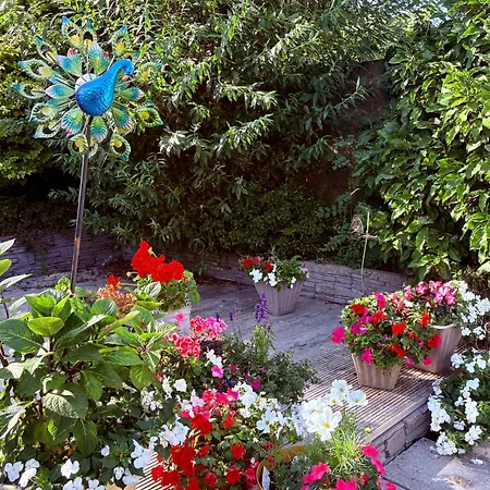 Peaceful Spacious Double In Warm Friendly منزل للإقامة