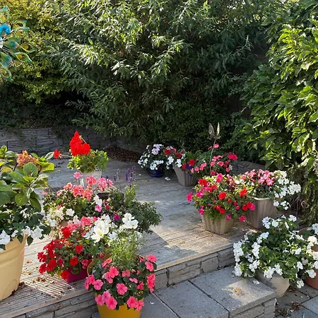 Peaceful Spacious Double In Warm Friendly